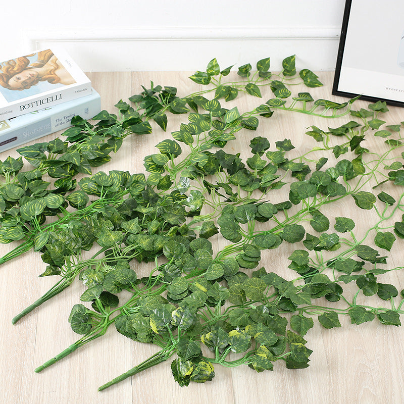 Hanging Wall Planters For Home Decor